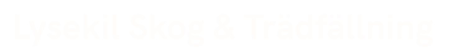 dfgdsgasdrgasd